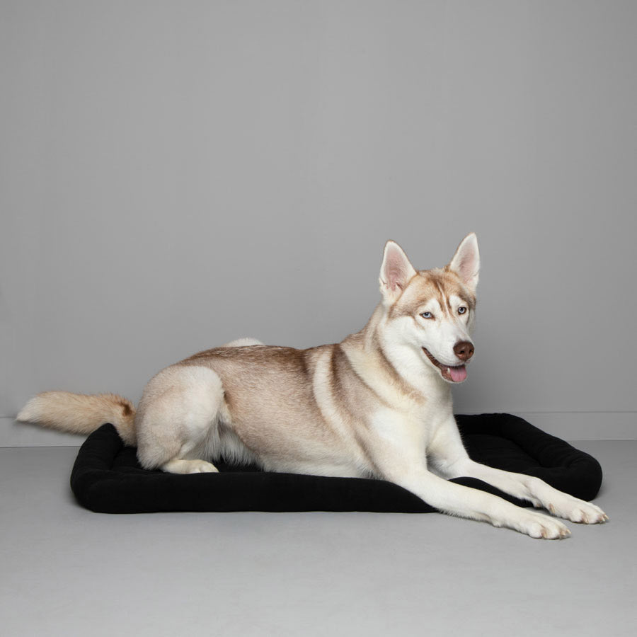 Pets at Home Basic Dog Crate Mattress Black