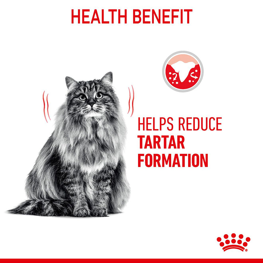 Royal Canin Feline Oral Dry Adult Cat Food