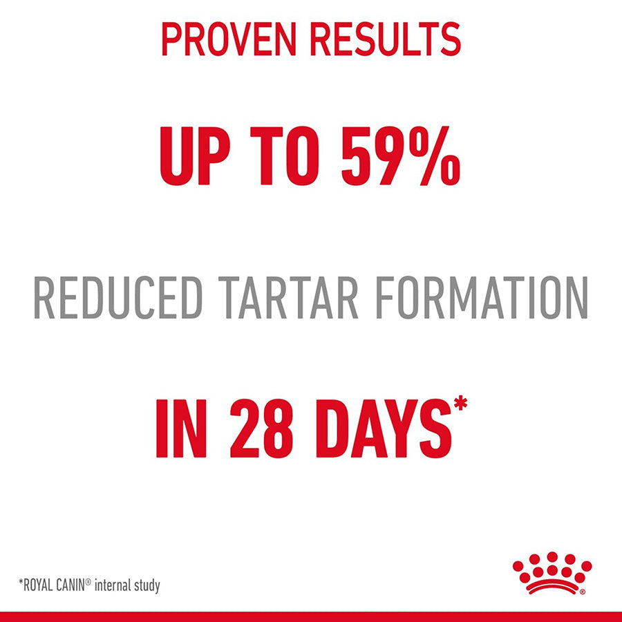 Royal Canin Feline Oral Dry Adult Cat Food