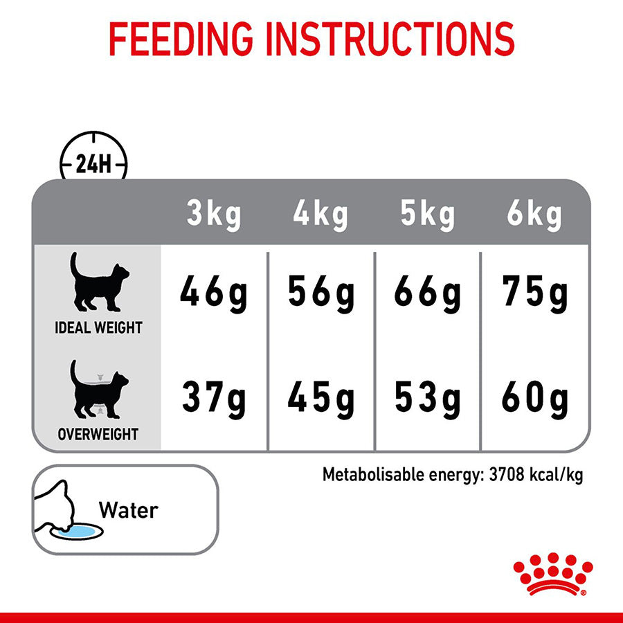Royal Canin Feline Oral Dry Adult Cat Food