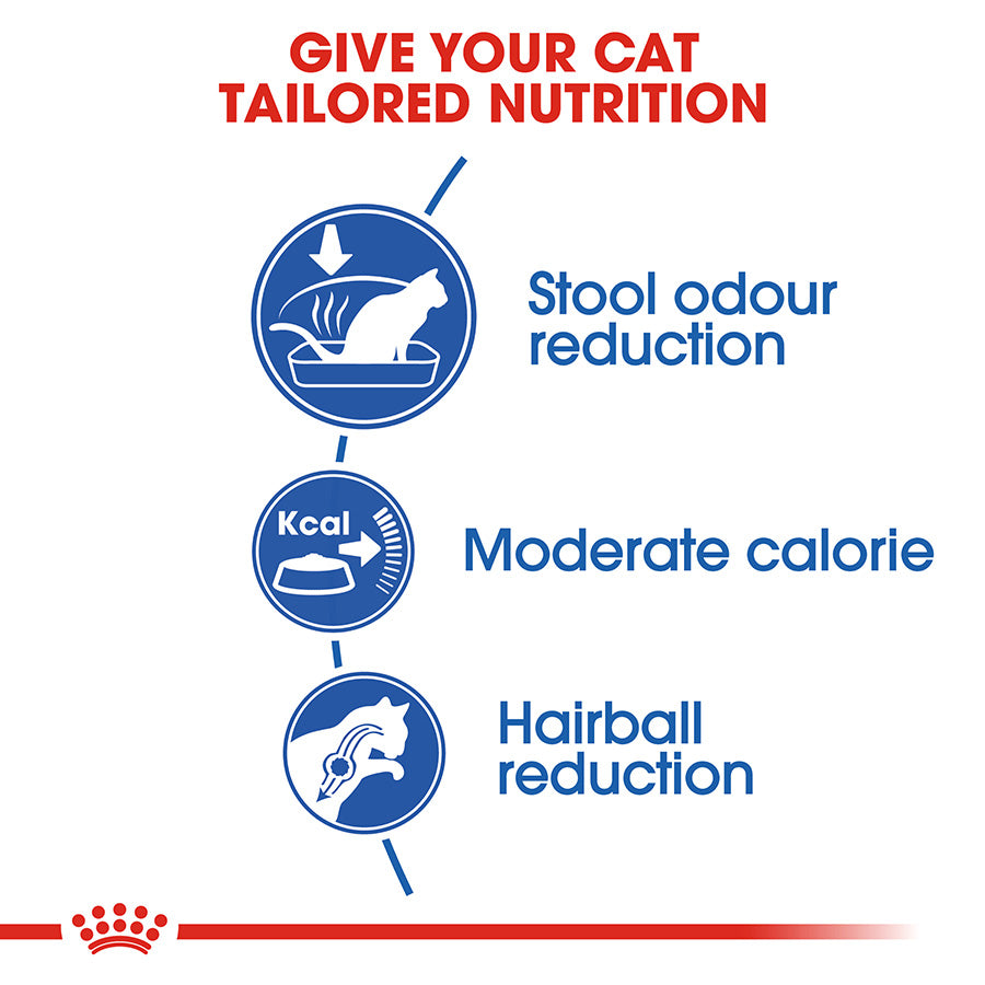 Royal Canin Feline Indoor Adult Dry Cat Food 4kg