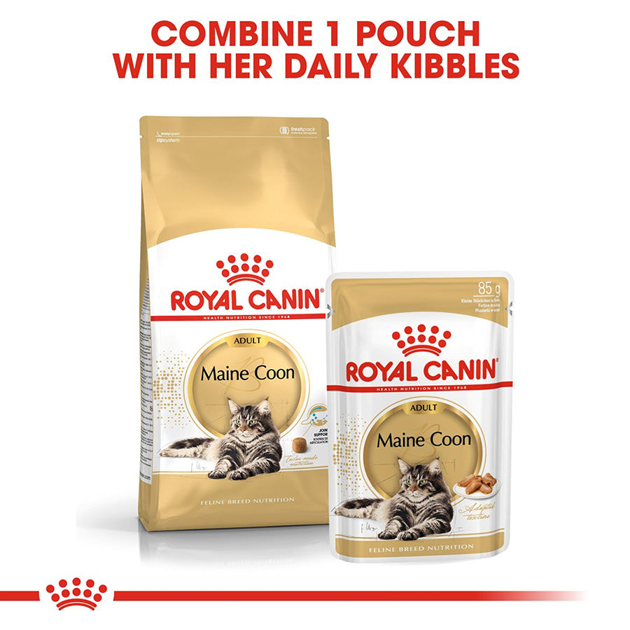 Royal Canin Maine Coon Adult Dry Cat Food 10kg