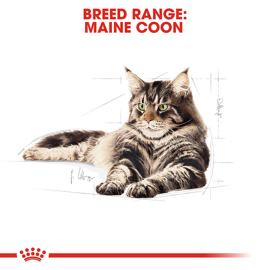 Royal Canin Maine Coon Adult Dry Cat Food 10kg