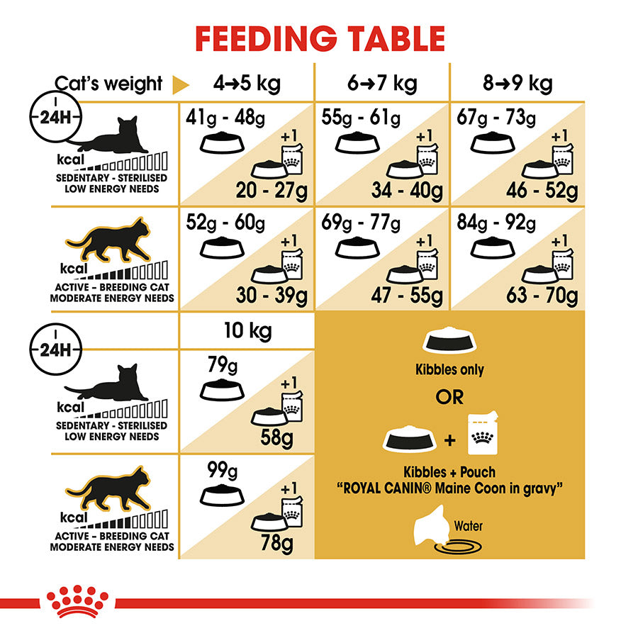 Royal Canin Maine Coon Adult Dry Cat Food 4kg