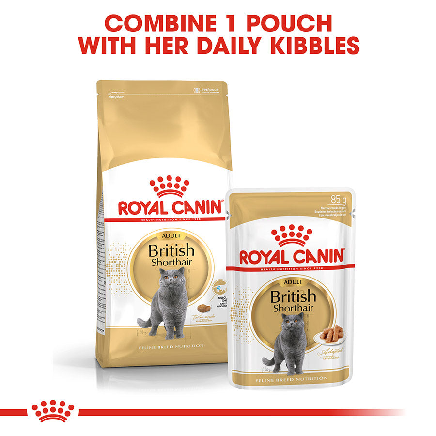Royal Canin British Shorthair Adult Dry Cat Food 4kg
