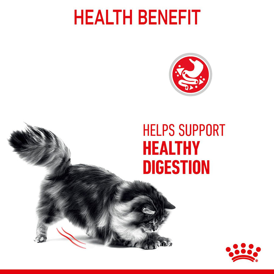 Royal Canin Feline Digestive Dry Adult Cat Food 10kg
