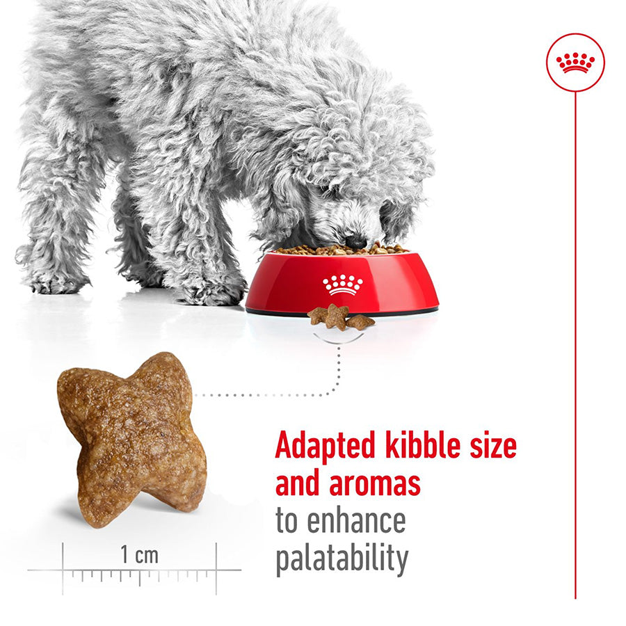 Royal Canin Mini Dry Adult Dog Food