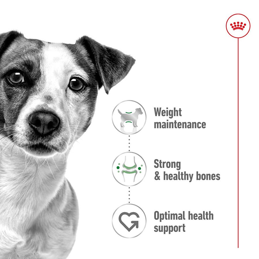 Royal Canin Mini Dry Adult Dog Food