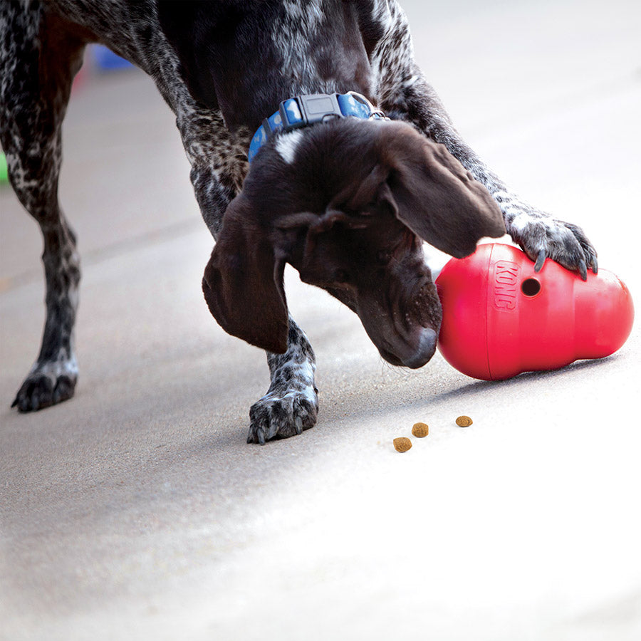 Kong Wobbler Red Dog Toy Large