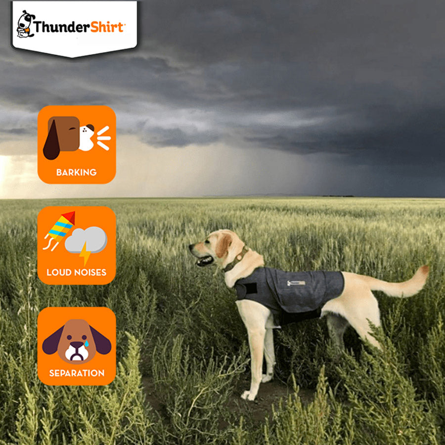ThunderShirt Calming Coat Jacket Dogs