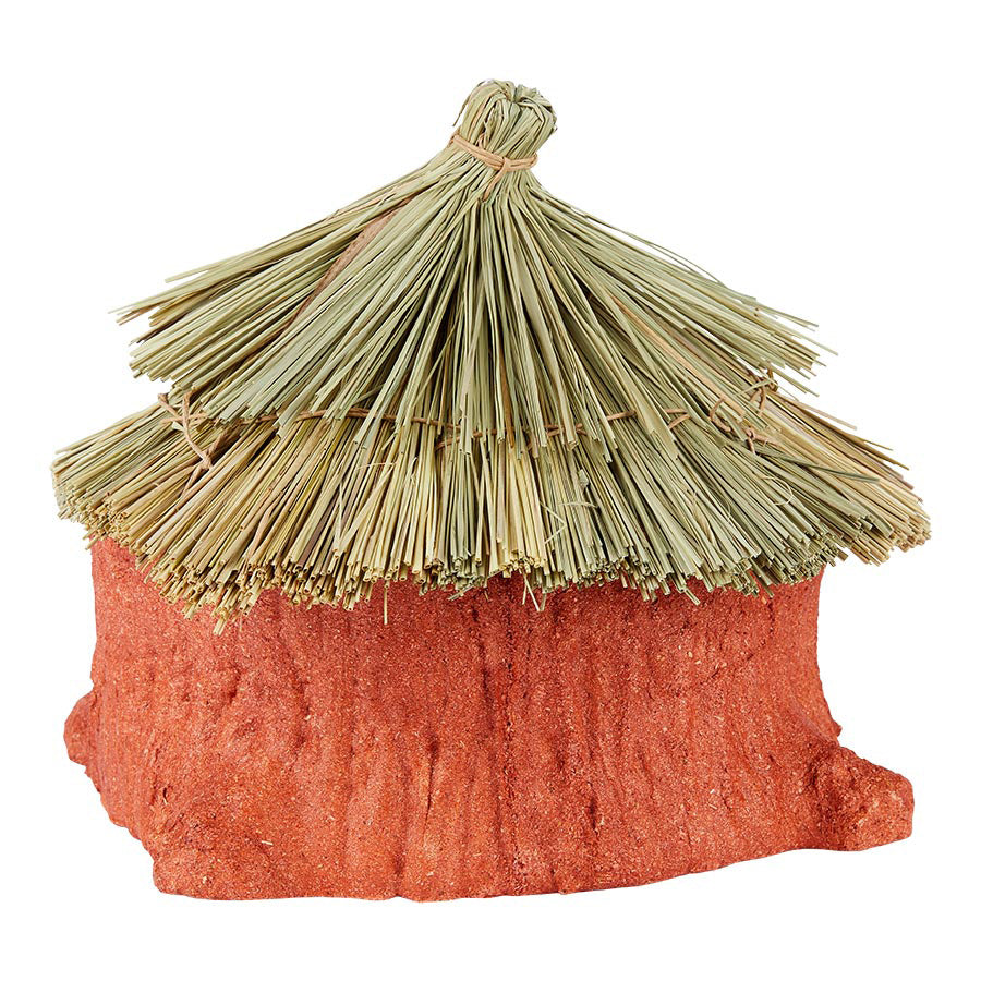 Pets at Home Gnaw & Chew Small Animal Hideaway Hut Red Large