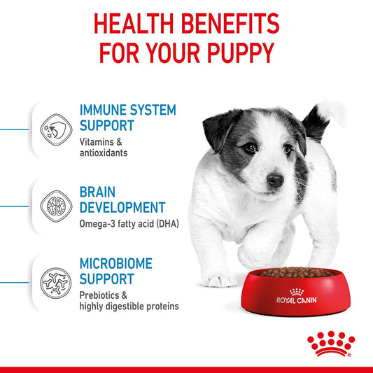 Royal Canin Mini Breed Dry Puppy Food