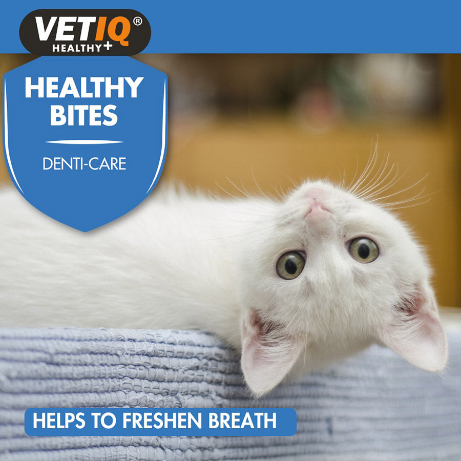 VetIQ Healthy Bites Breath & Dental Cat Kitten Treats 65g