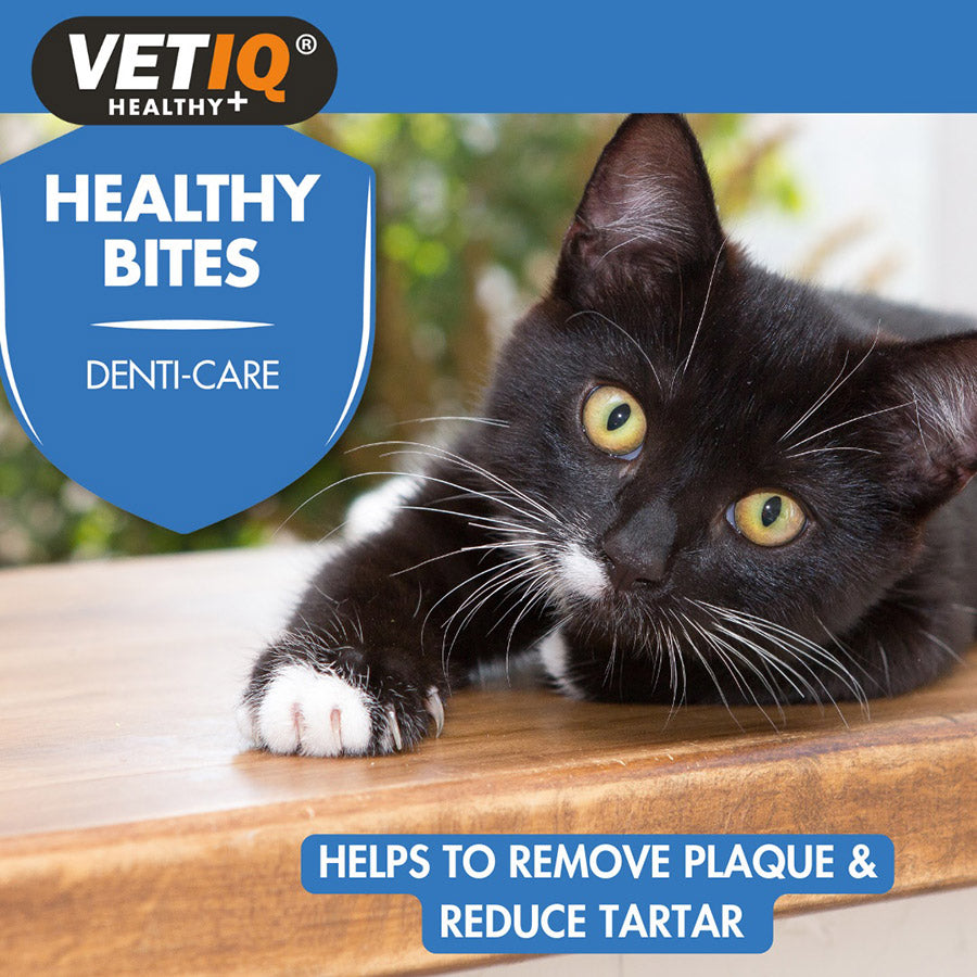 VetIQ Healthy Bites Breath & Dental Cat Kitten Treats 65g