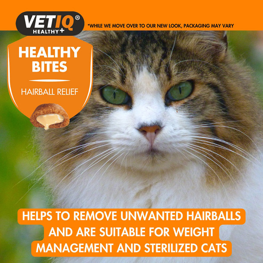 VetIQ Hairball Remedy Healthy Bites Treats for Cats & Kittens 65g