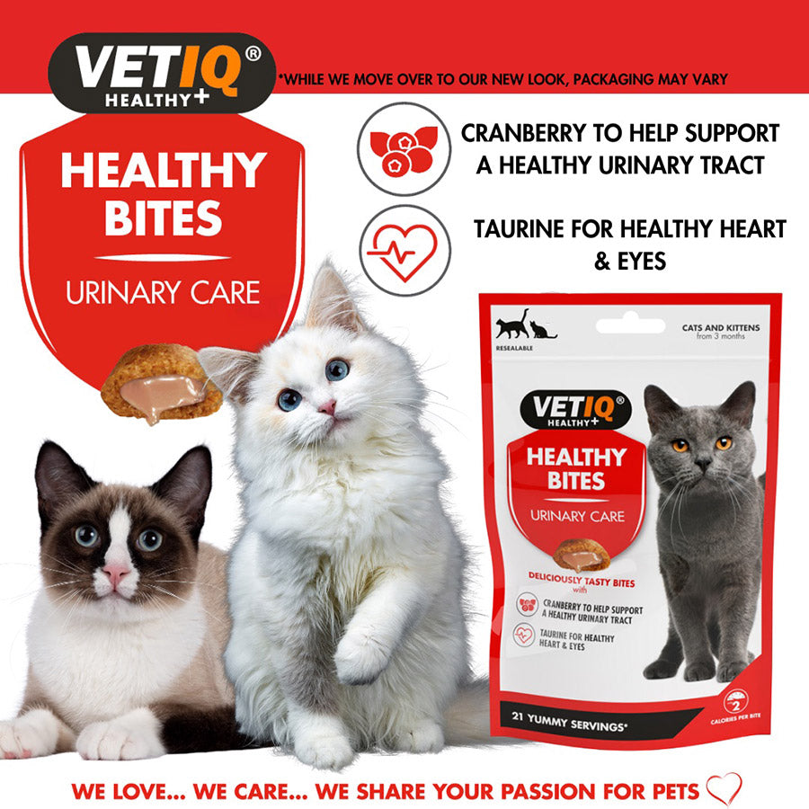 VetIQ Healthy Bites Urinary Care Cat & Kitten Treats 65g