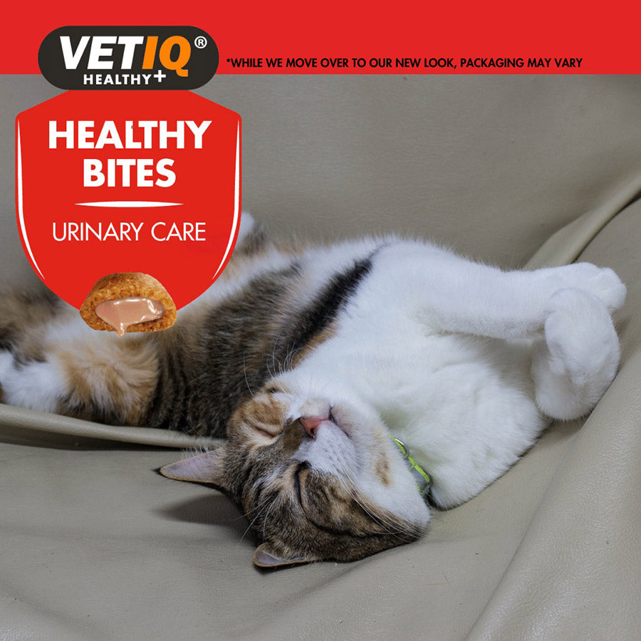 VetIQ Healthy Bites Urinary Care Cat & Kitten Treats 65g