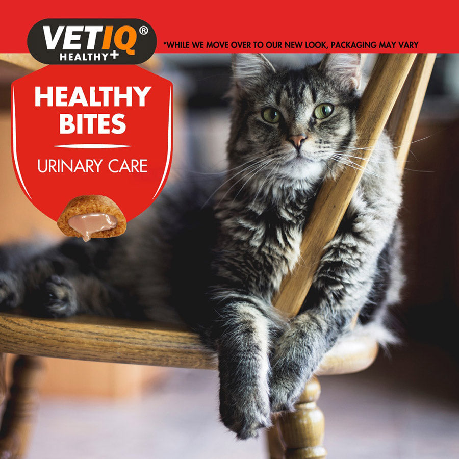 VetIQ Healthy Bites Urinary Care Cat & Kitten Treats 65g