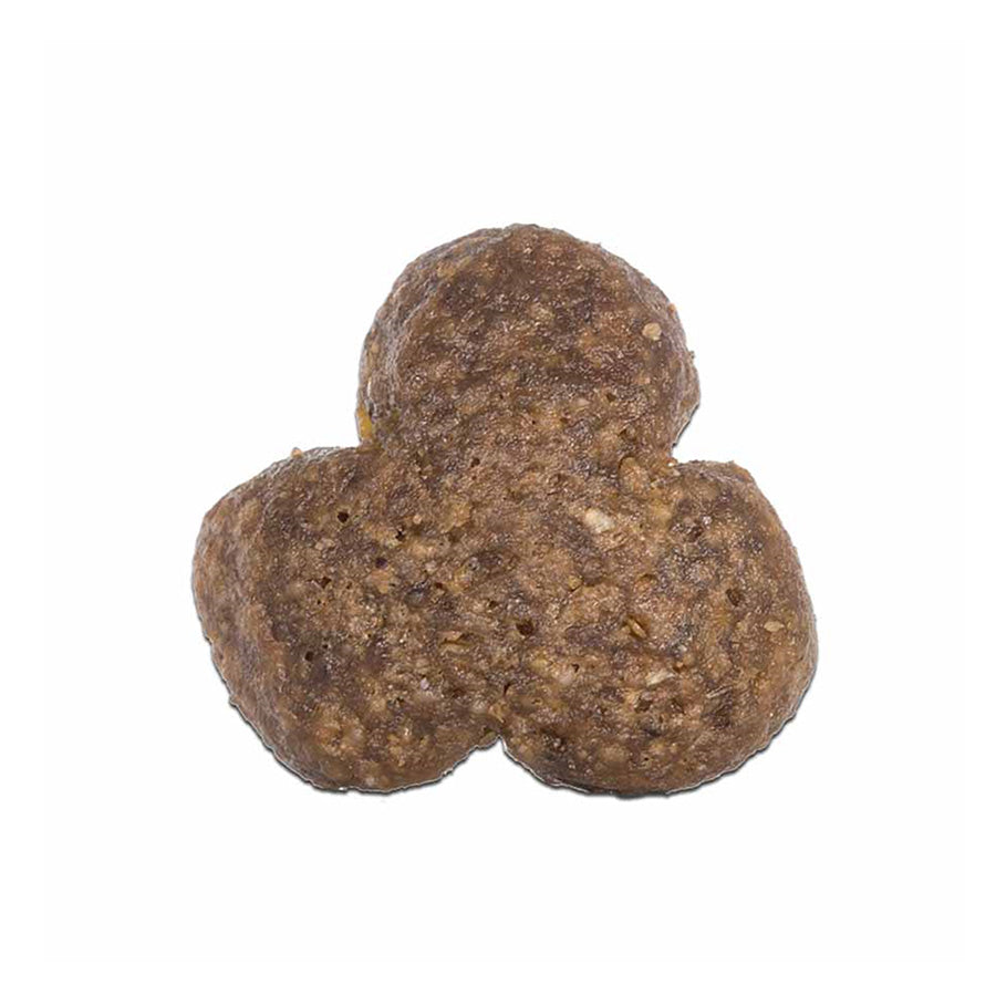 Arden Grange Adult Dry Dog Food with Chicken & Rice