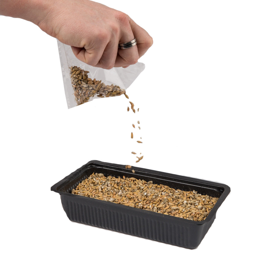 Vitakraft Cat Grass