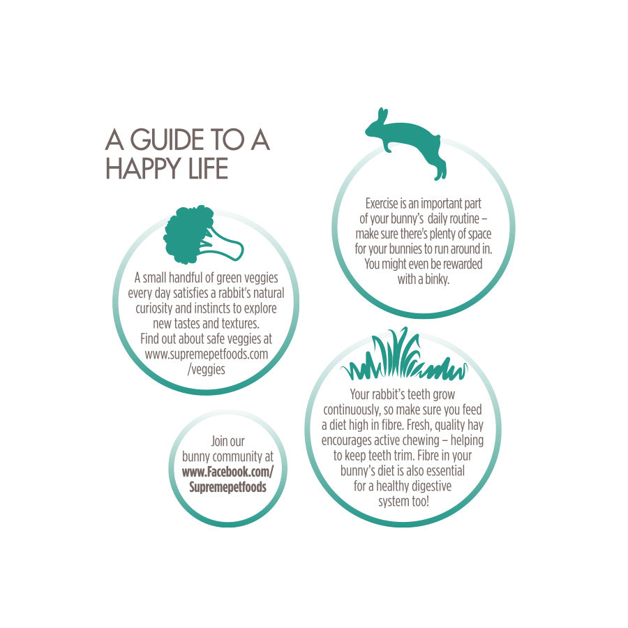 Science Selective Adult Rabbit Food Four Years + 1.5kg