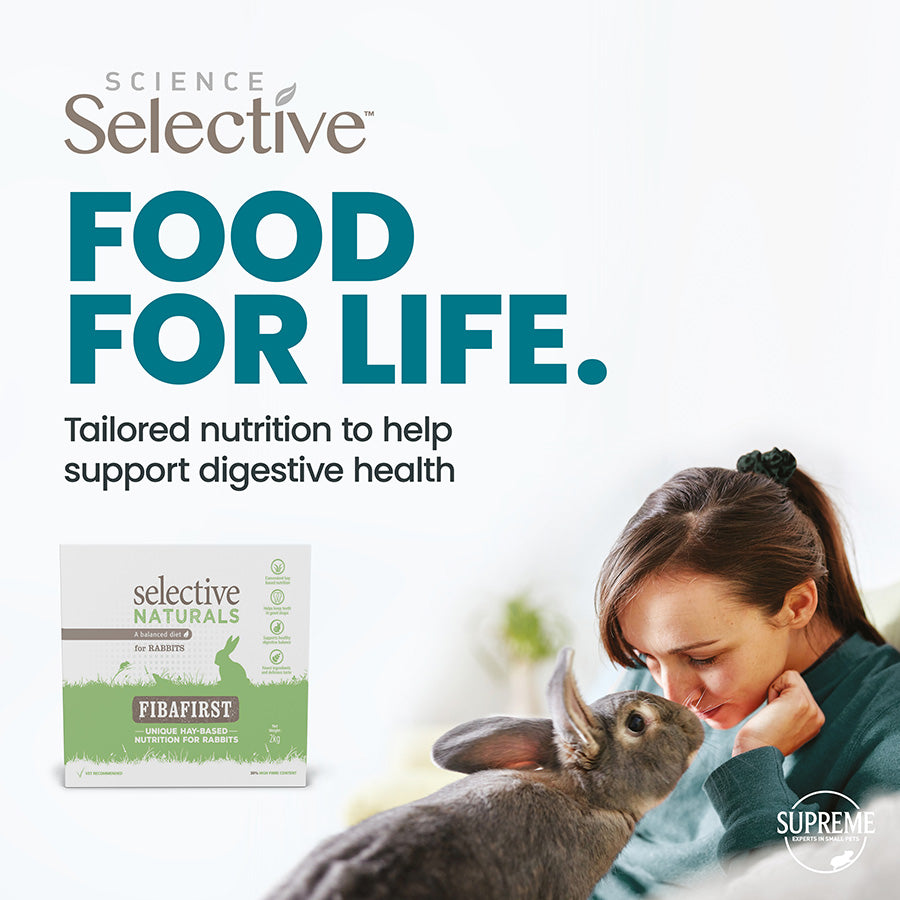 Selective Naturals Fibafirst Hay Based Rabbit Food Sticks 2kg