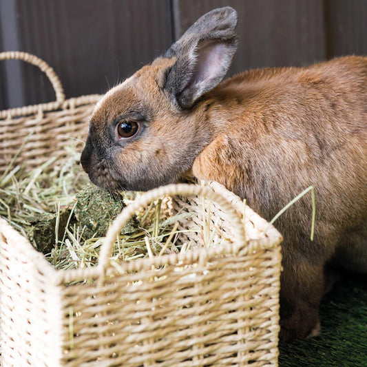 Burgess Excel Feeding Hay Dried Grass 1kg