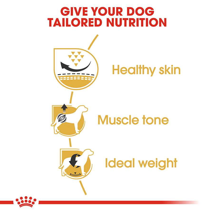Royal Canin Pug Adult Dry Dog Food 7.5kg