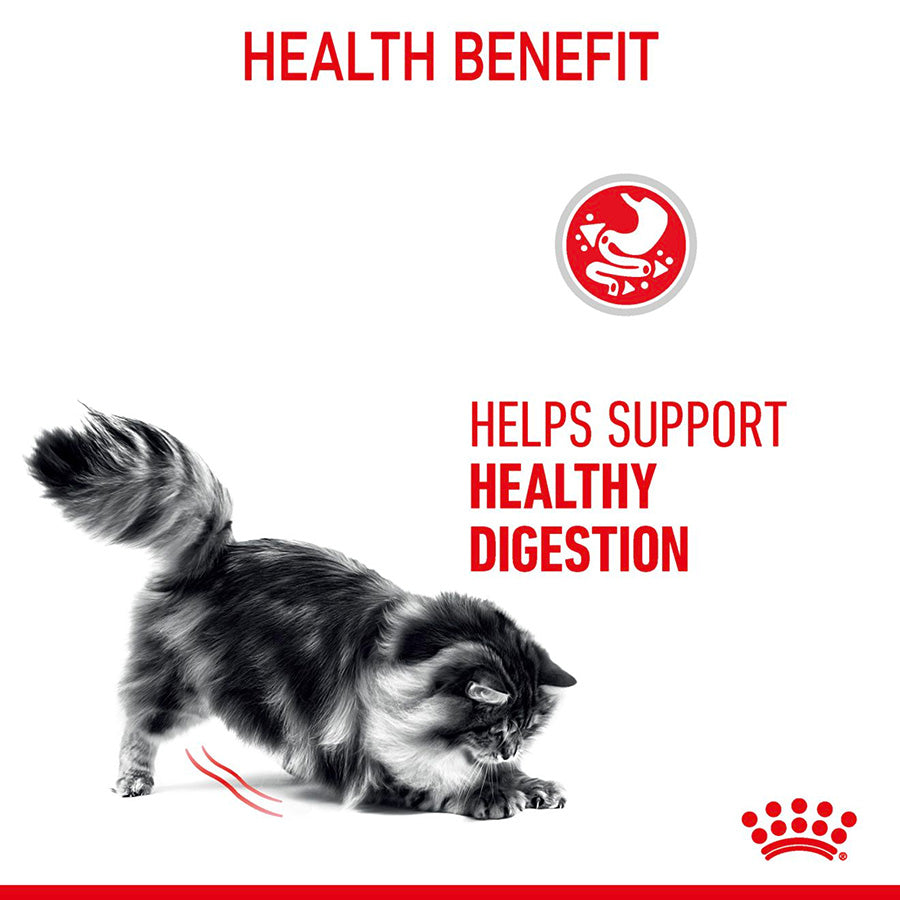 Royal Canin Feline Digest Sensitive Wet Adult Cat Food In Gravy 12x85g