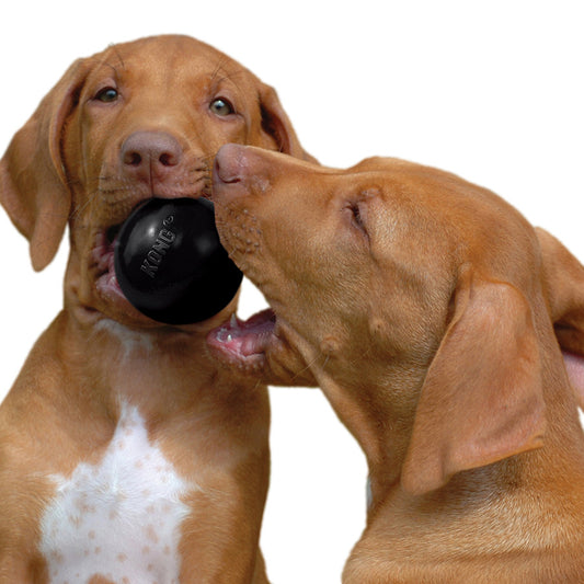 Kong Extreme Ball Dog Toy Medium/Large