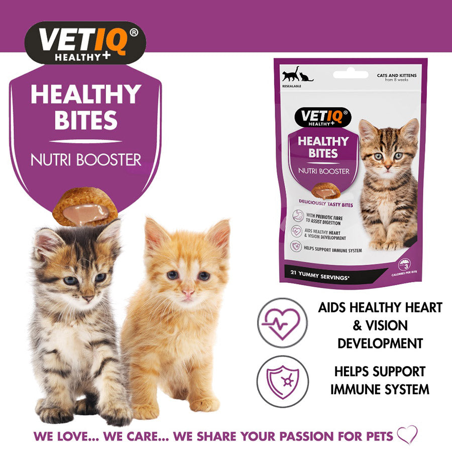 VetIQ Healthy Bites Nutribooster Kitten Treats 65g