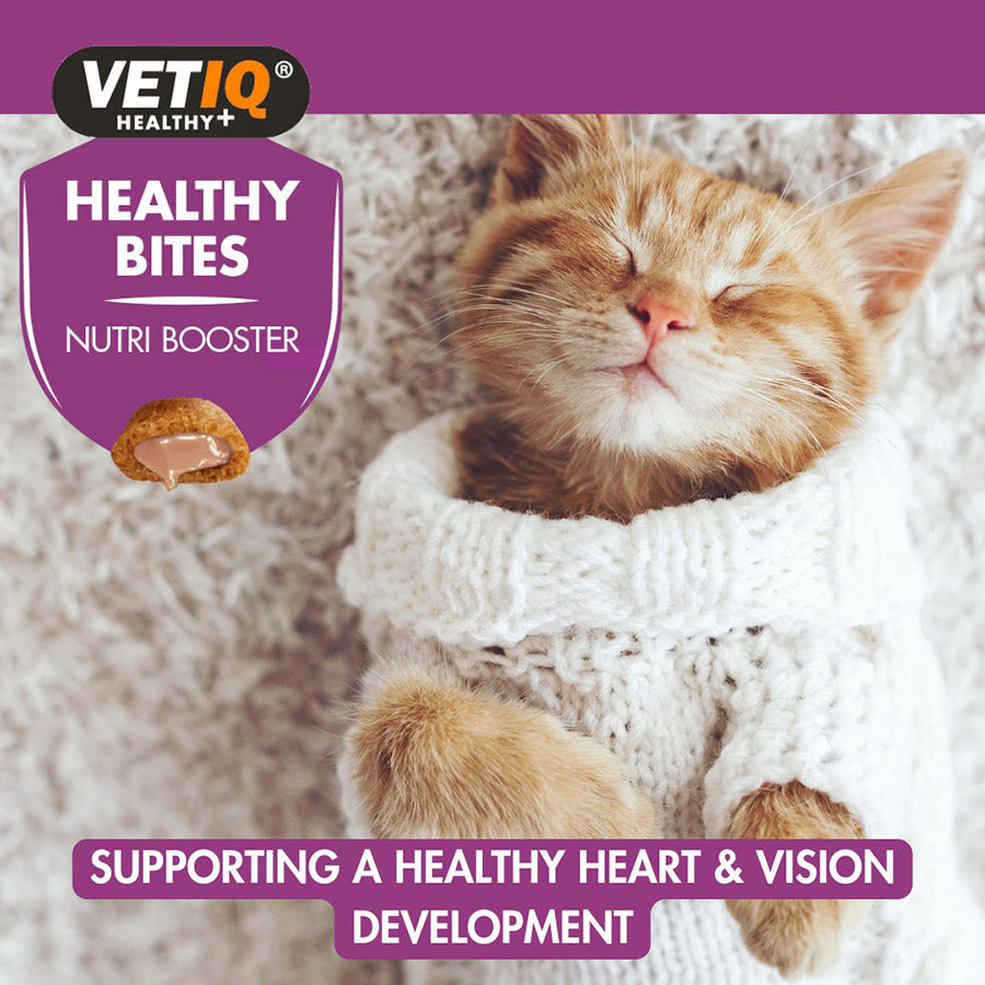 VetIQ Healthy Bites Nutribooster Kitten Treats 65g