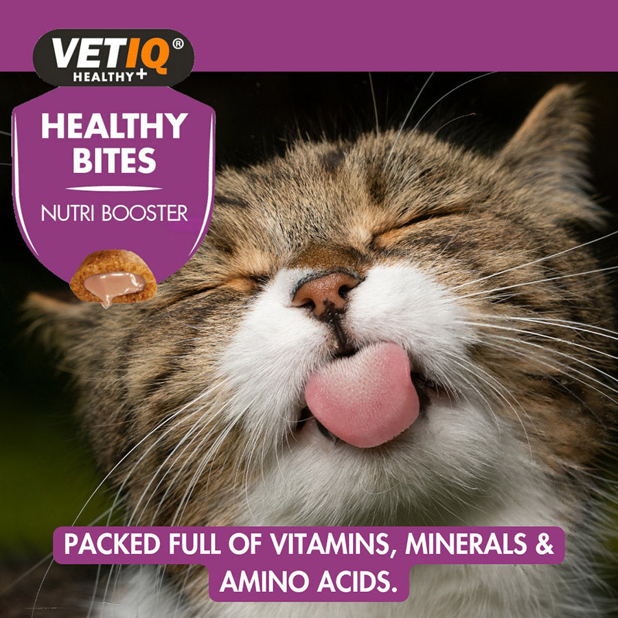 VetIQ Healthy Bites Nutribooster Kitten Treats 65g