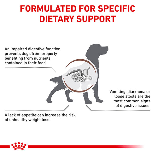 Royal Canin Veterinary Gastrointestinal Dry Dog Food