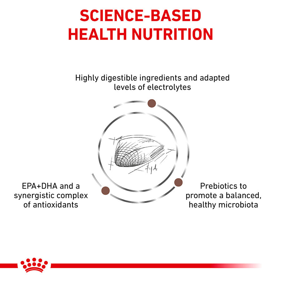 Royal Canin Veterinary Gastrointestinal Dry Cat Food
