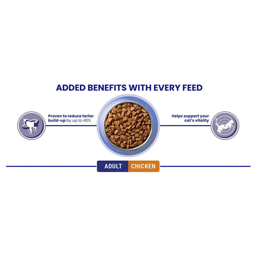 Purina ONE Adult Cat Dry Food Chicken 3kg