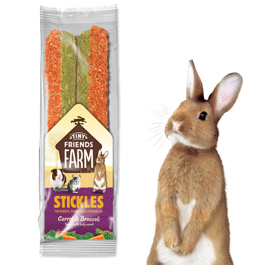 Tiny Friends Farm Stickle Carrot and Brocolli Small Animal Treats 100g