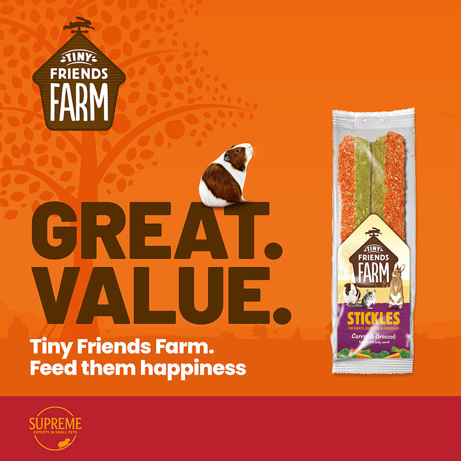 Tiny Friends Farm Stickle Carrot and Brocolli Small Animal Treats 100g