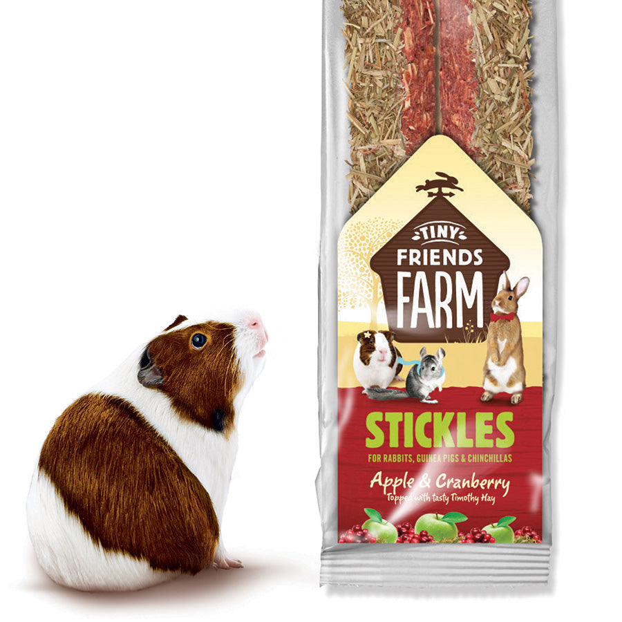 Tiny Friends Farm Stickles Small Animal Treats Apple and Cranberry 100g