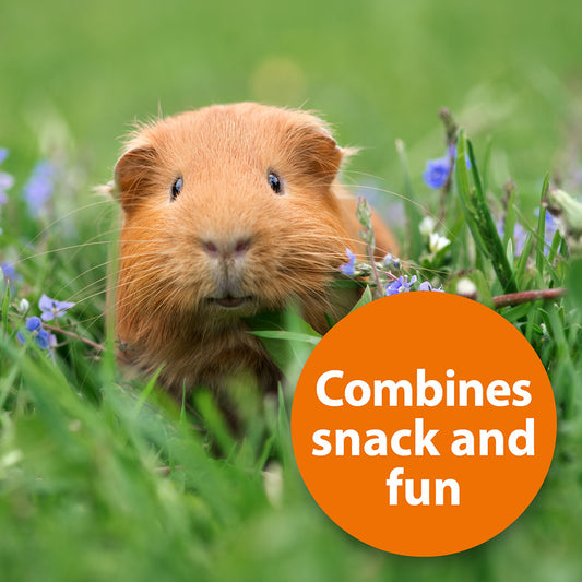 Quiko Fitness Foodball Small Animal Treat Carrot 100g