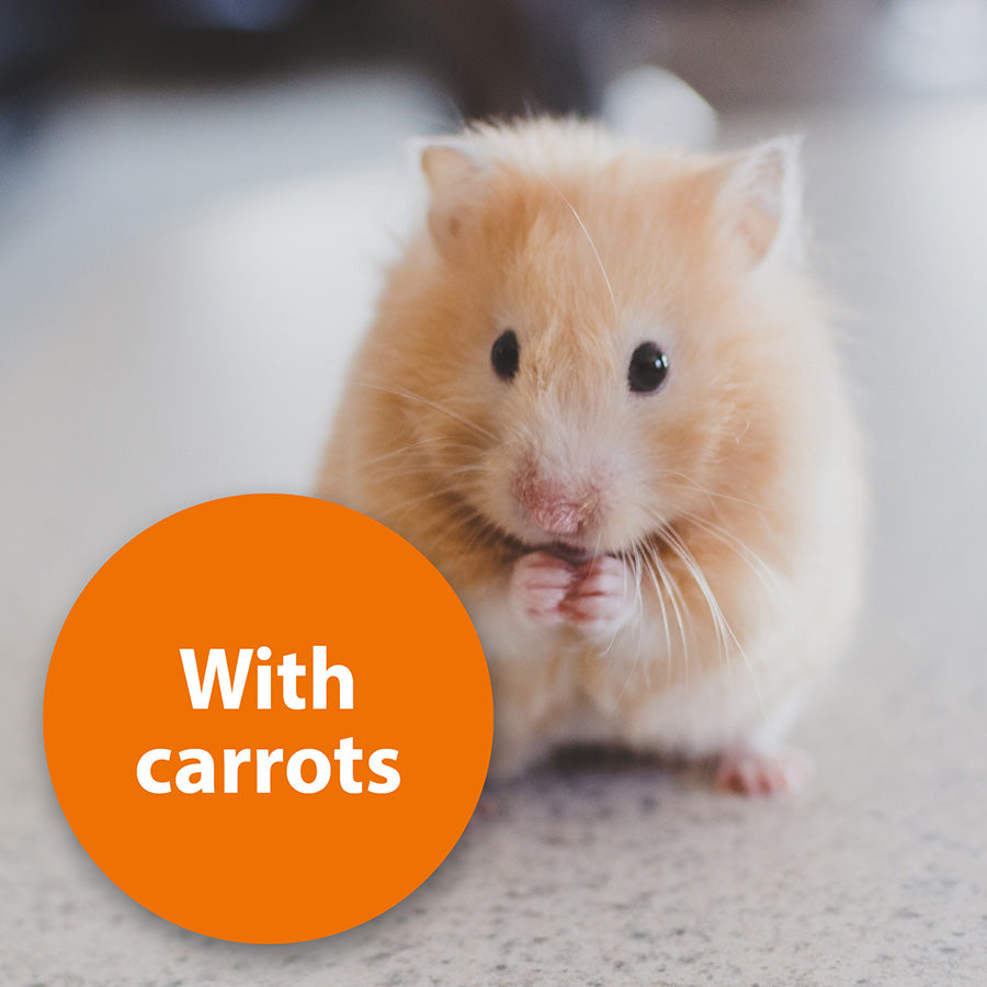 Quiko Fitness Foodball Small Animal Treat Carrot 100g