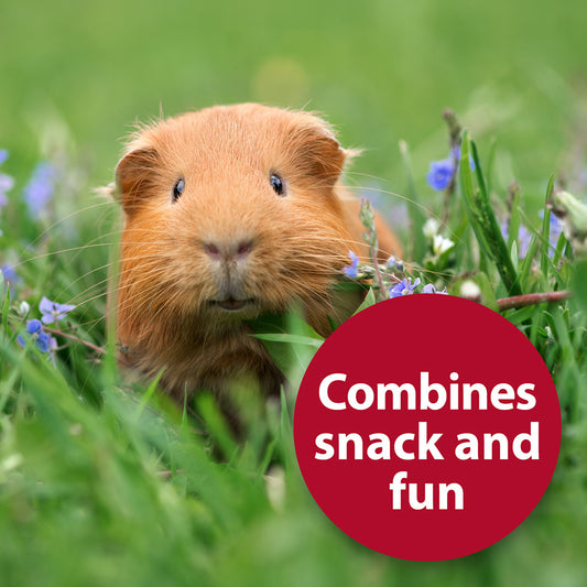 Quiko Fitness Foodball Small Animal Treat Beetroot 100g