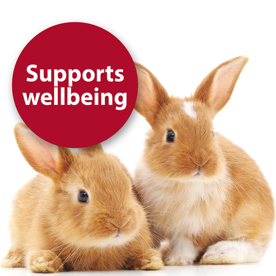 Quiko Fitness Foodball Small Animal Treat Beetroot 100g