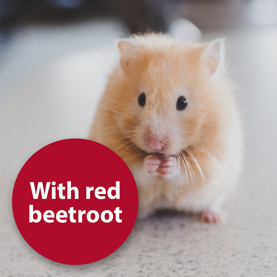 Quiko Fitness Foodball Small Animal Treat Beetroot 100g