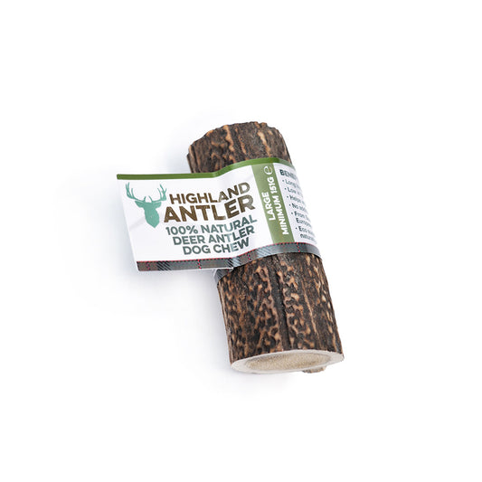 Highland Antler Dog Chew