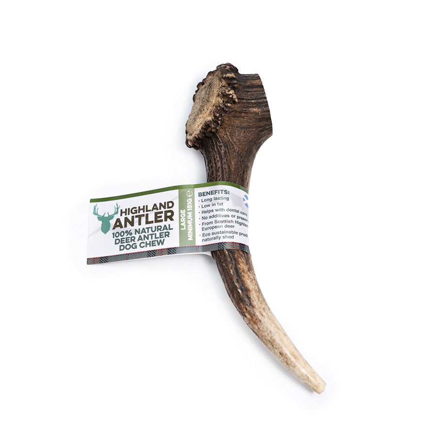 Highland Antler Dog Chew