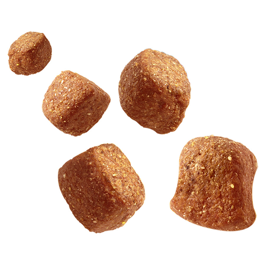 Pedigree Tasty Minis Adult Dog Treats Chicken & Duck 130g