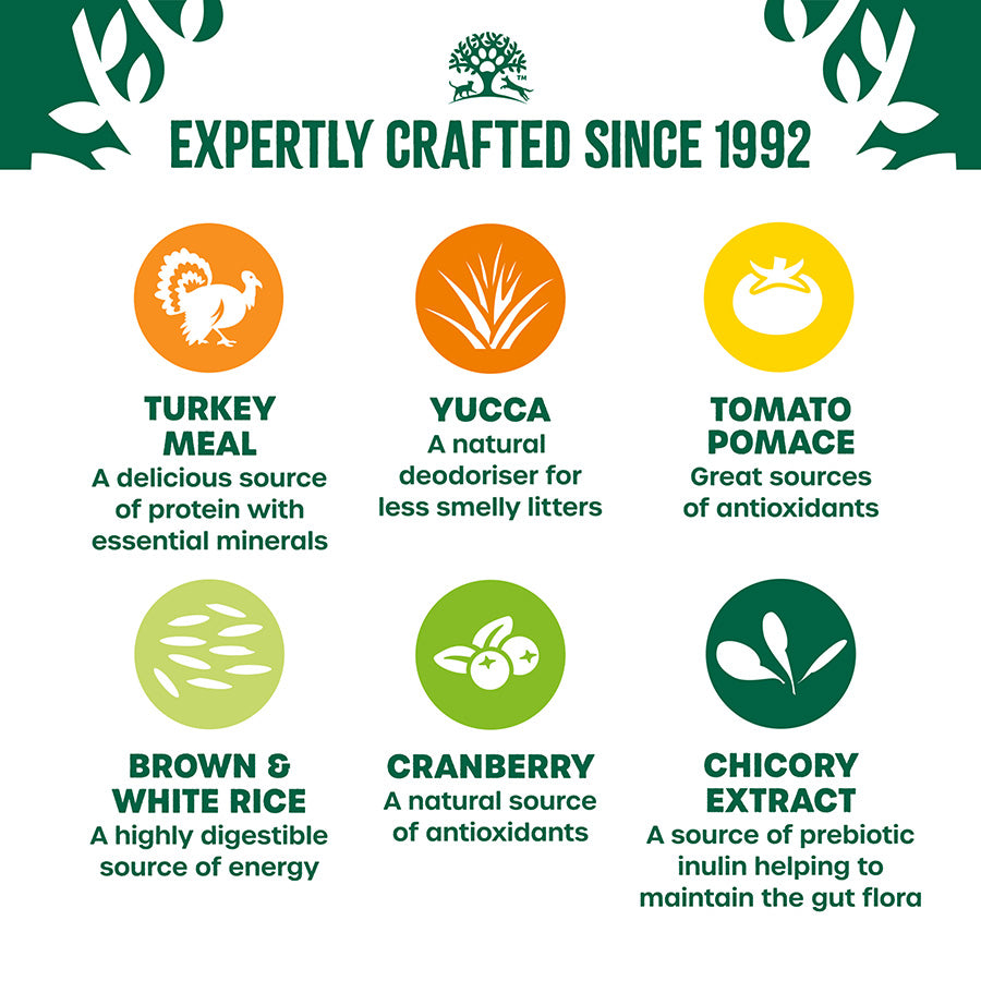 James Wellbeloved Kitten Dry Cat Food Turkey 4kg