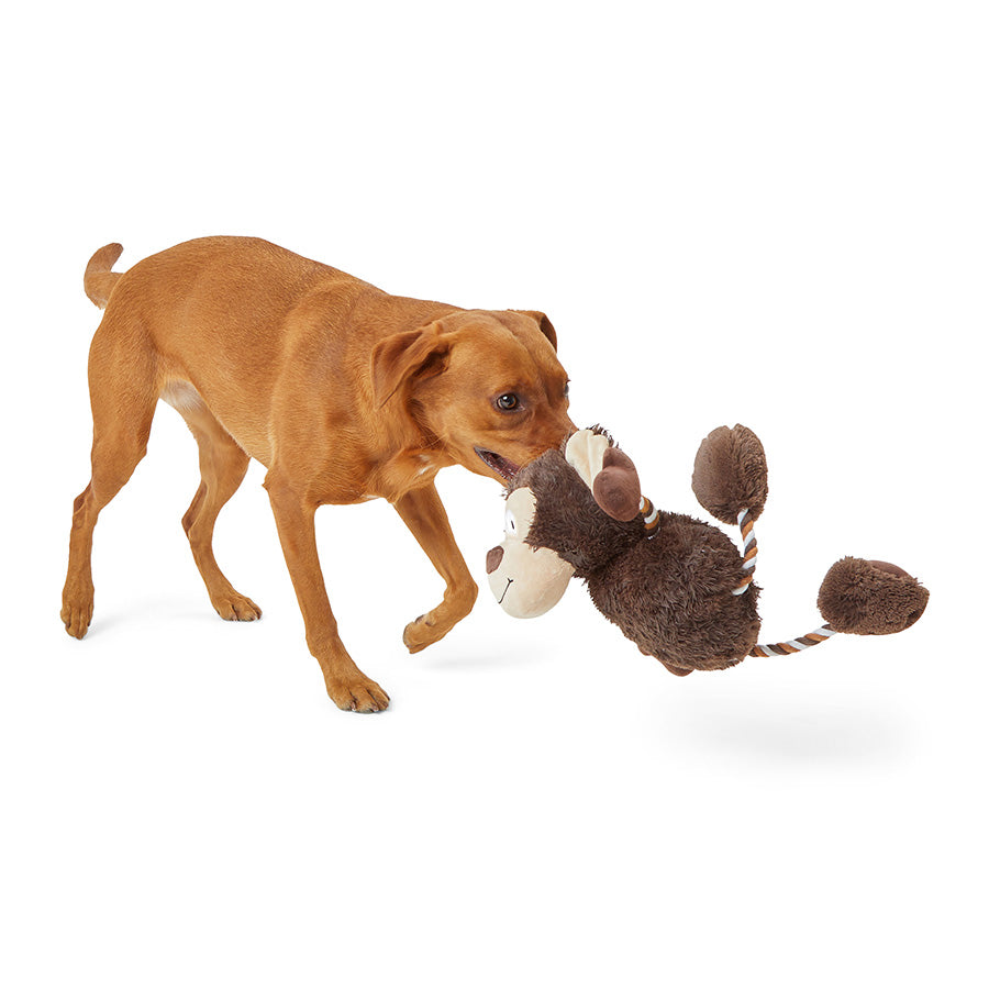 Pets at Home Twizzle Monkey Squeaky Dog Toy Large