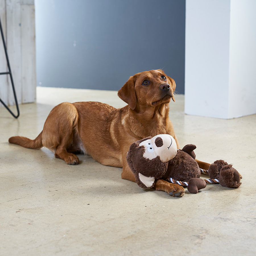 Pets at Home Twizzle Monkey Squeaky Dog Toy Large